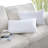 Phantoscope 12" x 20" Reversible Pillow Inserts（Set of 2）