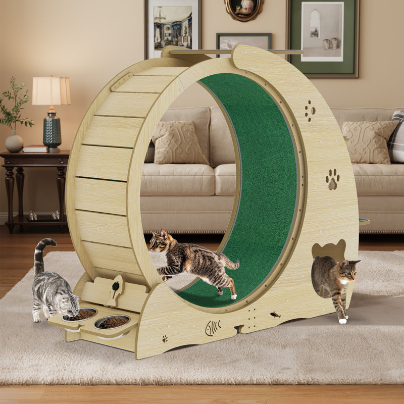 roue de chat pour chats d'intérieur 6-en-1, grand tapis d'exercice pour chat avec bols et poteau à griffes pour une remise en forme de couleur bois