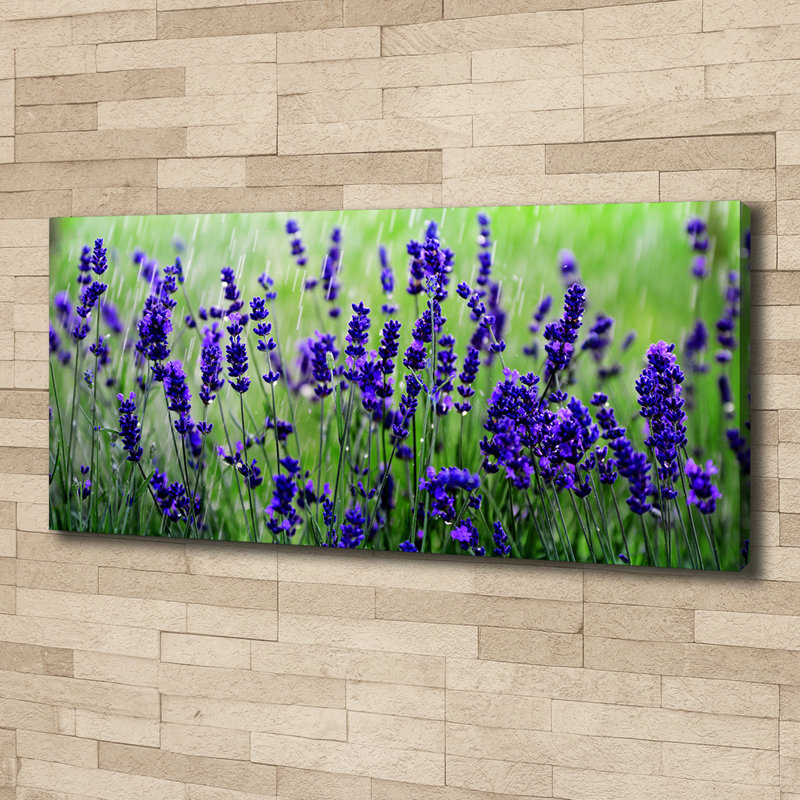 Lavender - Wrapped Canvas Print