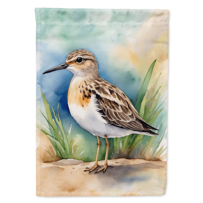 Drapeau de jardin Surfbird Bird, Bécasseau chamois