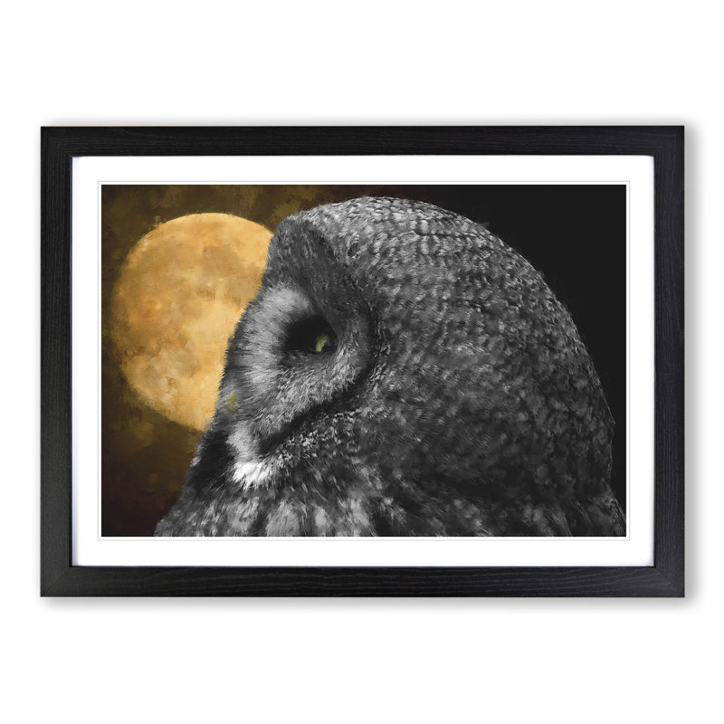 Great Grey Owl Vol.1 - Picture Frame Painting, 36cm H x 48cm W x 2cm D, Black Framed