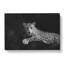 Leopard - Wrapped Canvas Print-56632961