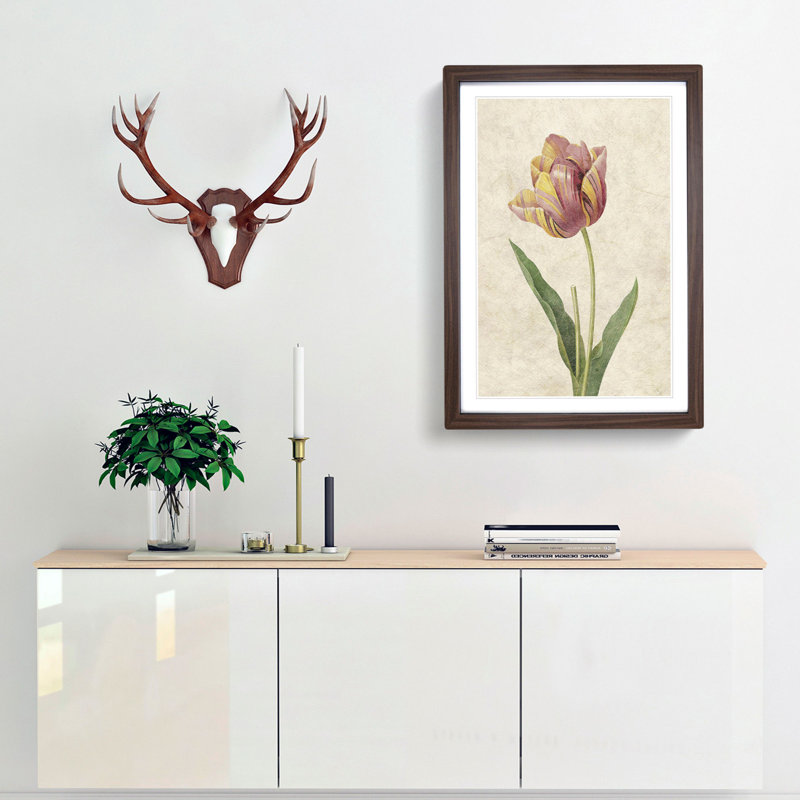 Pink Tulip by Pierre-Joseph Redoute - Picture Frame Painting Print, 48cm H x 36cm W x 2cm D, Walnut Framed