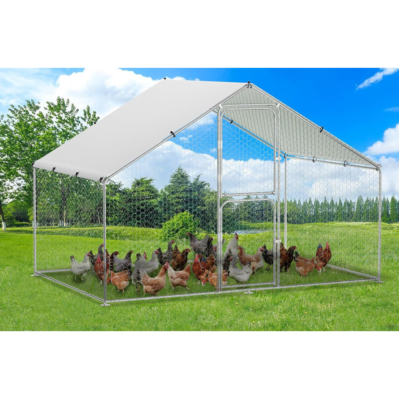 Chicken Run, 199.9cm H x 300cm W x 199.9cm D