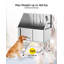 Baignoire de toilettage pour chien l 49,52 po x P 22,36 po