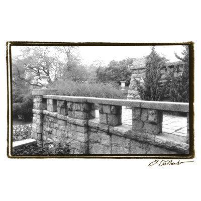 Garden Grace I by Laura DeNardo - 1 Piece Wrapped Canvas Wall Art