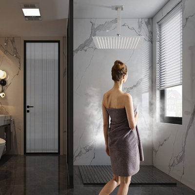 Rain Fixed Shower Head 2.5 GPM GPM with Self-Cleaning