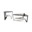 Dino Glass Top Coffee Table-57820462-59512312