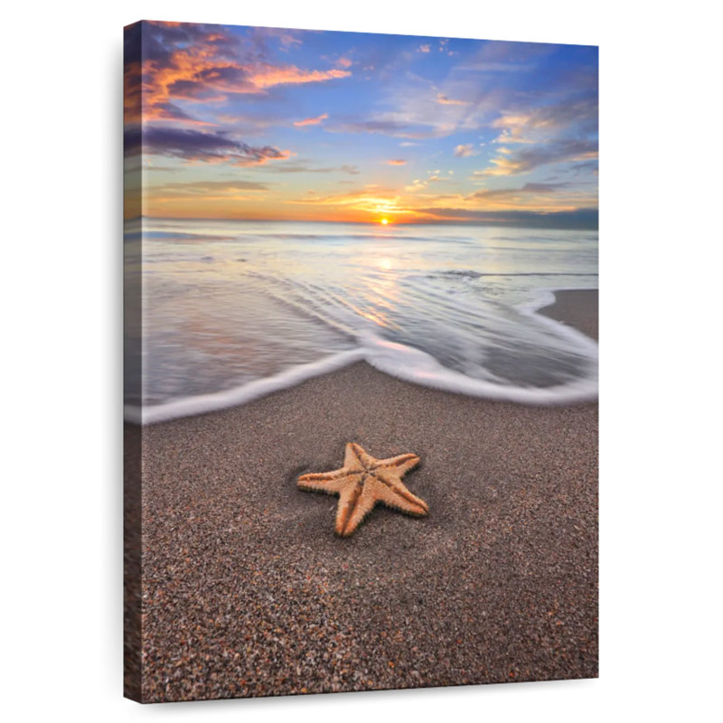 Brampt Fort Lauderdale Beach Starfish, 48" H x 32" W