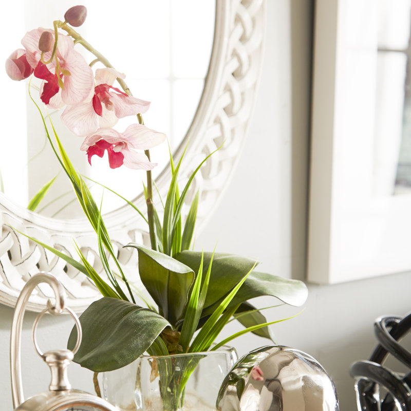 Orchid Arrangement