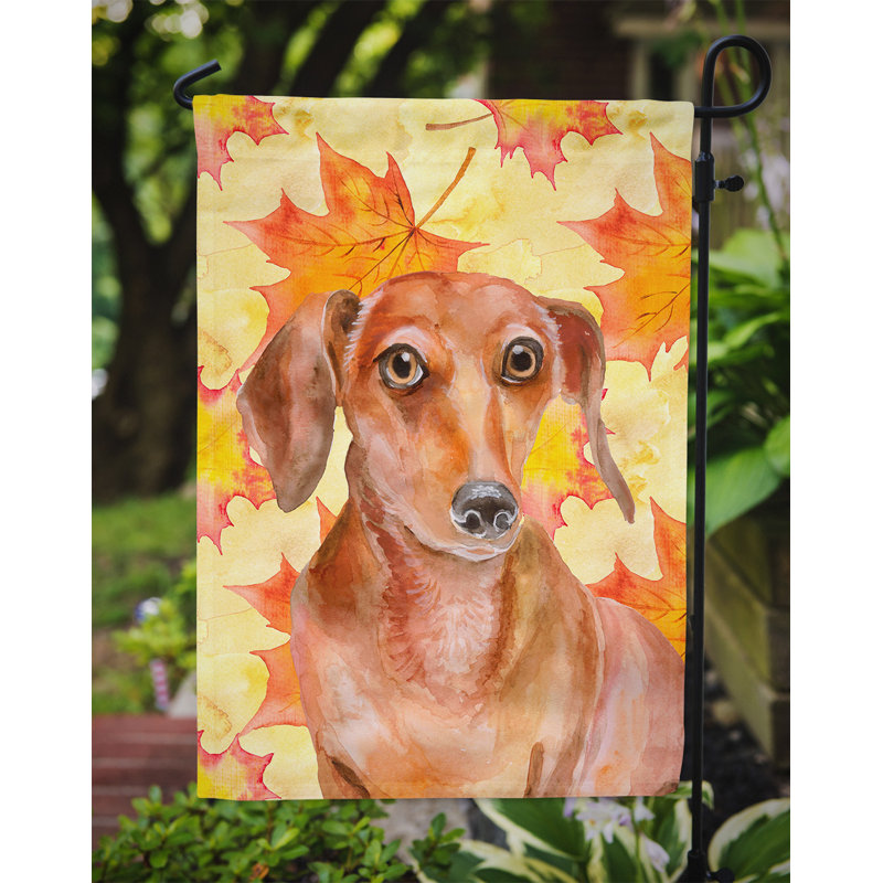Automne 2 côtés en polyester 15 x 11 po drapeau de jardin, Teckel avant