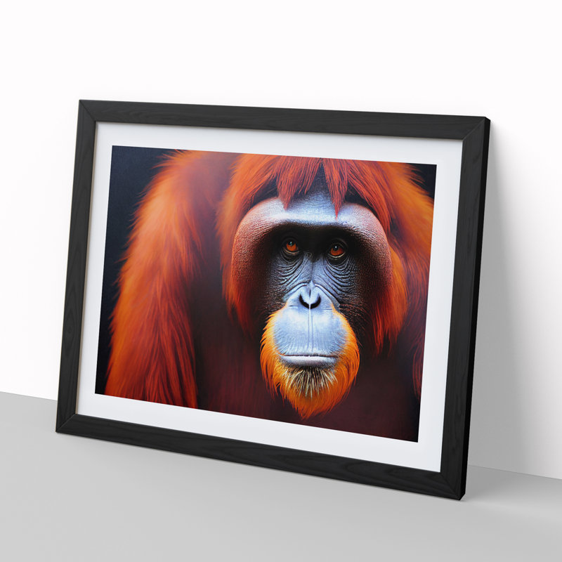 Enviable Orangutan - Single Picture Frame Print, Black, 25cm H x 34cm W x 2cm D