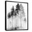 «Black and White Tall Pine Tree Forest», reproduction d'art sur toile Nature-557112898-557112909-778958432