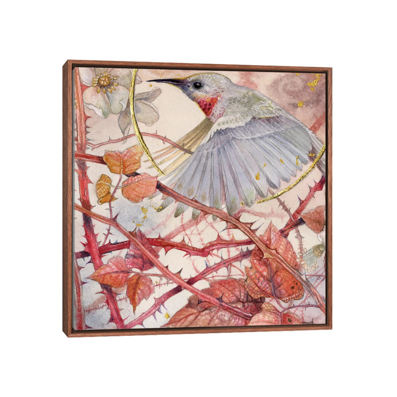 Colibri par Stephanie Law - reproduction d'art, Aucun mat, Toile avec cadre en bois brun, H 26 po x l 26 po x P 1,5 po