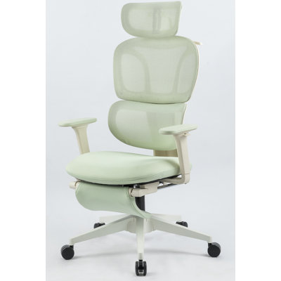 Chaise de bureau ergonomique avec repose-pieds, chaise de bureau d'ordinateur à haut dossier avec soutien lombaire dynamique, appui-tête en 2 dimensions, accoudoirs en 2 dimensions, siège, chaise de bureau en filet pour adultes