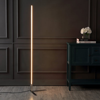 Potts 60.5'' LED Novelty Floor Lamp