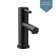 Align Single Hole Bathroom Faucet with Drain Assembly