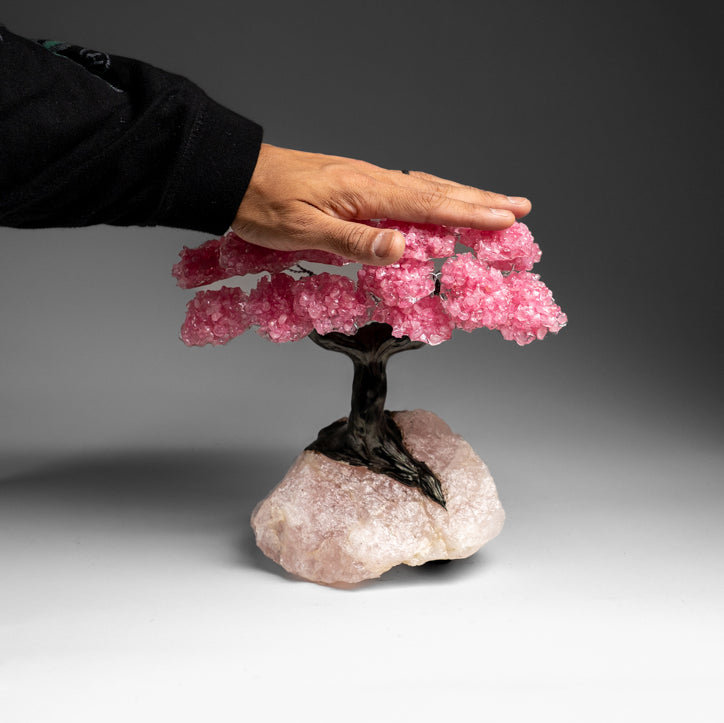 Custom - Genuine Rose Quartz Clustered Gemstone Tree On Rose Quartz Matrix (Unconditional Love Tree)