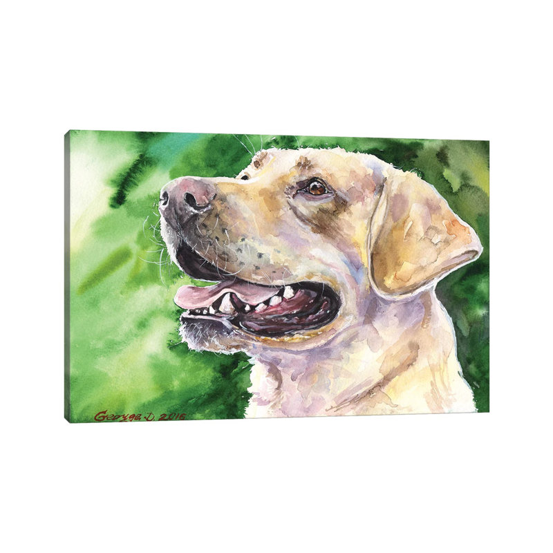 Golden Labrador I by George Dyachenko - Wrapped Canvas Painting, 20.32 cm H x 30.48 cm W