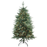 6.5' x 47" Pre-Lit Washington Frasier Fir Full Artificial Christmas Tree - Clear Lights