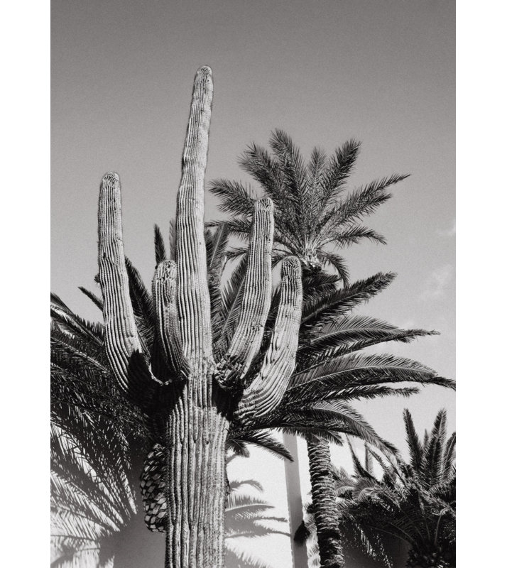 1 Piece Wrapped Canvas Wall Art, 76.2 cm H x 50.8 cm W