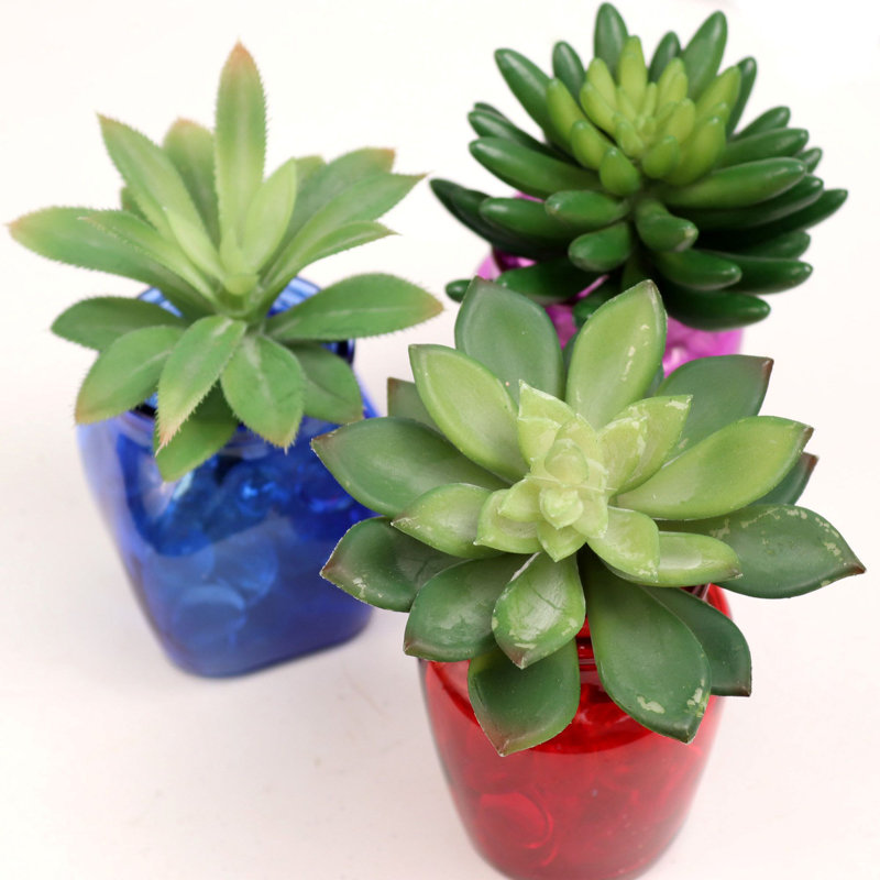 Green 6 - Piece 5.5 inch Artificial Succulent Plant Set, Faux Plant for Floor and Tabletop Decor