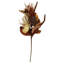  Neutral Autumn Pick