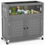 Support pour terrarium 30 gallons avec armoire de rangement réglable