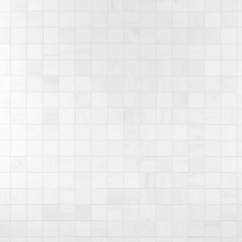 Bianco Dolomite 12x12 Honed Marble Mosaic Tile