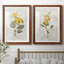 Canari lin géranium - ensemble de 2 reproductions d'art-755692021-755692030-755692024