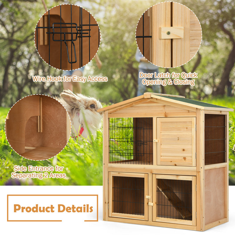 Asilin Chicken Coop