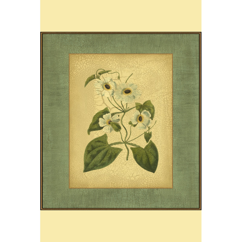 Spa Blue Curtis (NA) III - Wrapped Canvas Art Prints, 46cm H x 30cm W x 3.8cm D