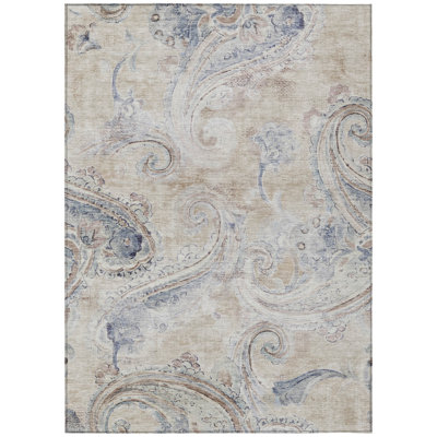 Machine Washable Indoor/Outdoor Chantille ACN2747 Paisley Rug