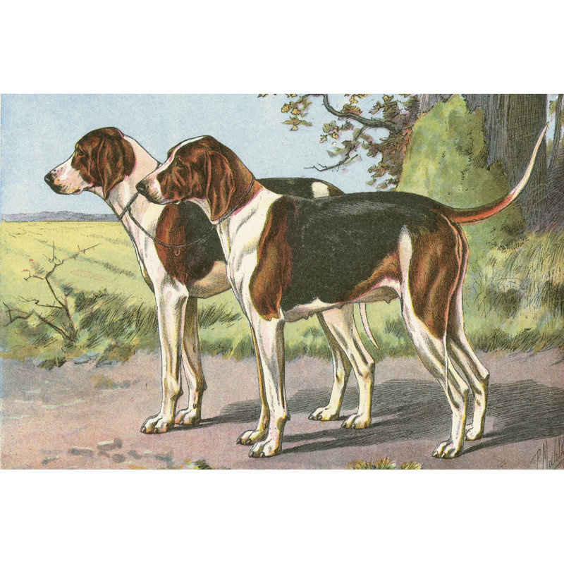 Mans Best Friend VII - Wrapped Canvas Print, 30cm H x 46cm W x 3.8cm D