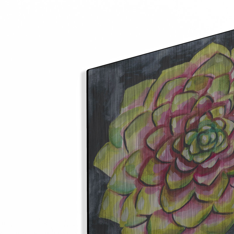  «Succulent Rosette 3» par Chariklia Zarris, art mural en métal, 12 po x 12 po, H 12 po x l 12 po