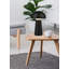 Allorah 21.5Cm Table Lamp with USB-1007538805