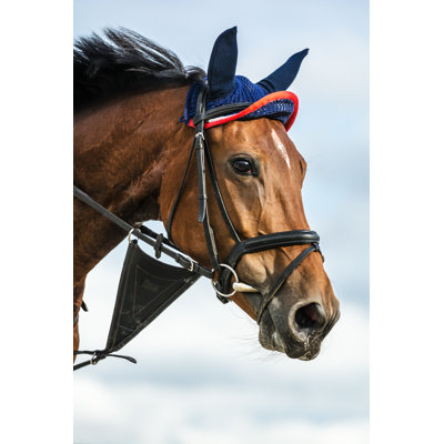 Galloping Horse Portrait by Zoran Kolundzija