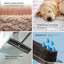Pet Hair Removal Broom with Squeegee Long Handle Carpet & Floor Sweeper