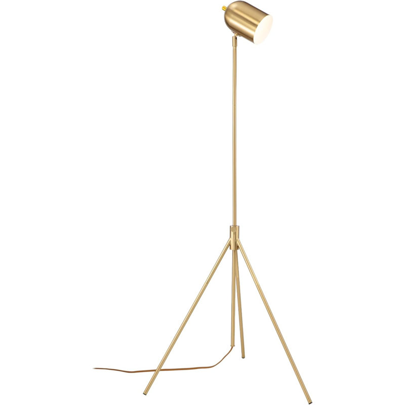 Lampe trépied réglable à DEL, à intensité variable, tête pivotante, parfaite pour la lecture et l'éclairage de travail, Doré