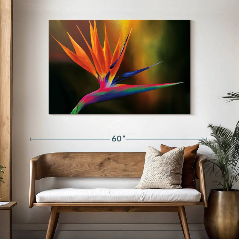 Strelitzia Harnek Delightful, H 32 po x l 48 po