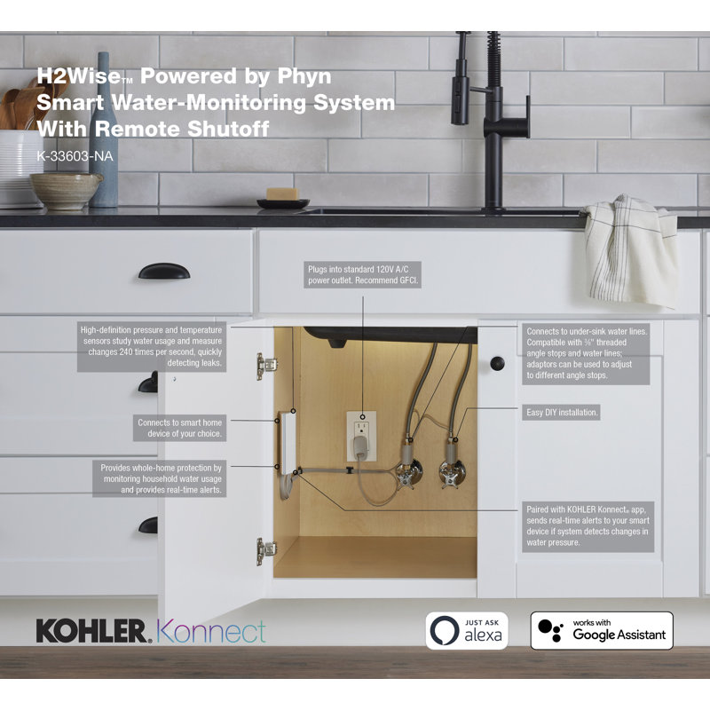 H2wise Smart Home Water Monitor