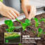 Lit de jardin surélevé galvanisé 4 pi x 4 pi x 1 pi, noir