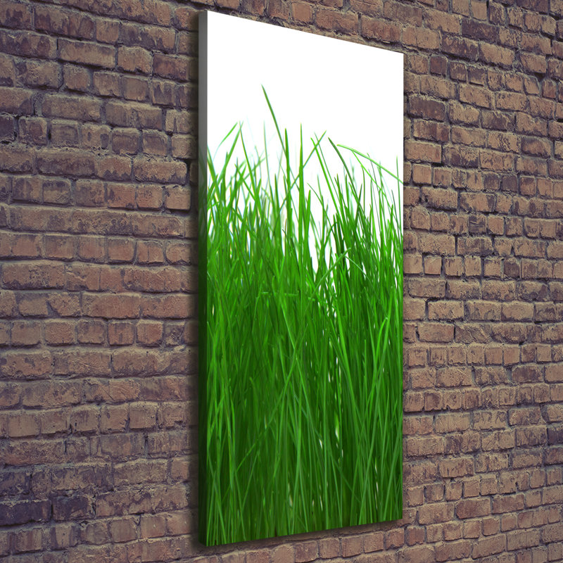Grass - Wrapped Canvas Print