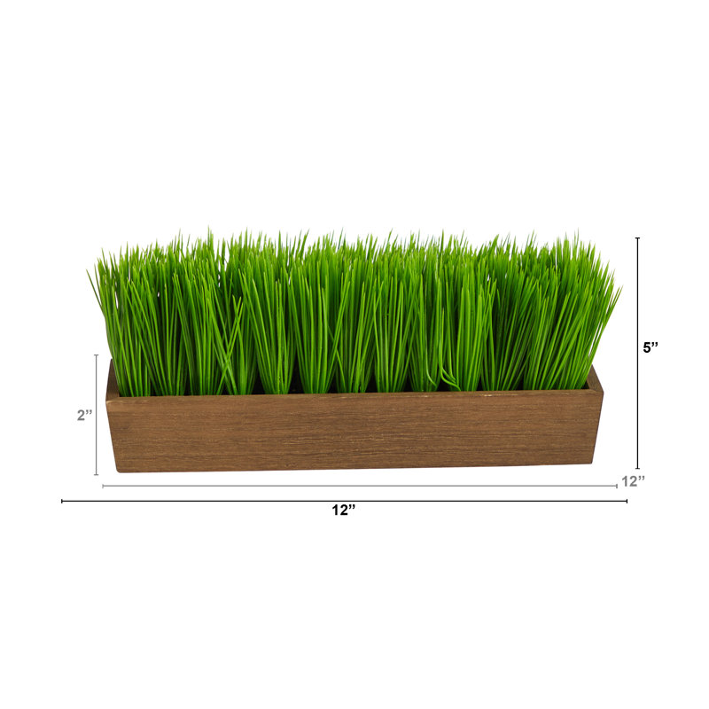 Herbe artificielle 5 po en pot