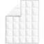 Higgason Winter Comforter-739800210