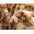 Niles Oriental Area Rug-1344006229-1445867348