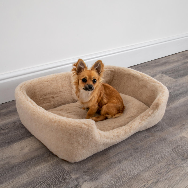 Azaiah Fleece Pet Bed, Cappucino, 10cm H x 60cm W x 40cm D