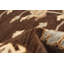 Tapis brun foncé / beige en laine noué à la main Turbotville