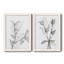 CHARCOAL FOLIAGE I - impression 2 pièces-103841424-103841427