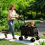 Poussette pliable pour animaux-130376765